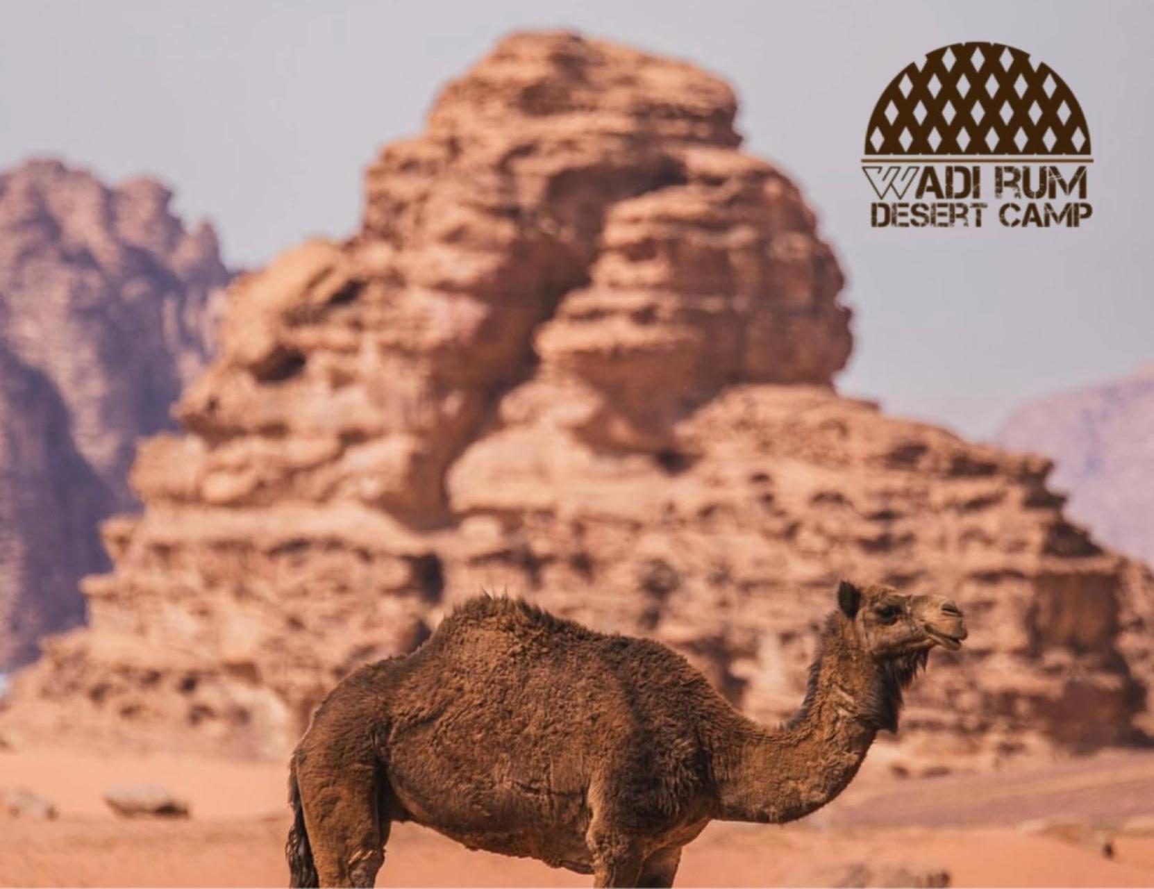 Wadi Rum Desert Camp Exterior foto
